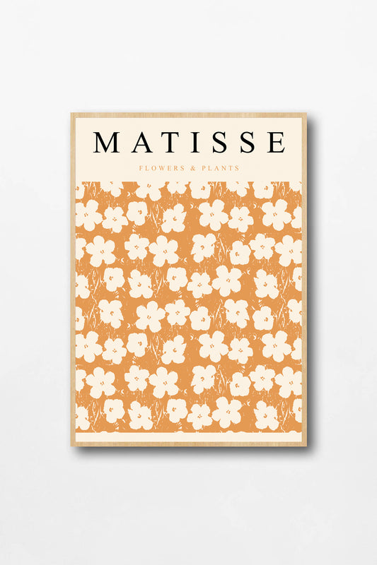 Matisse N.01
